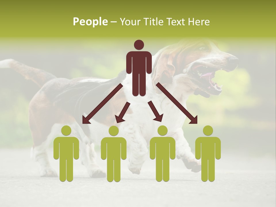 Park Leaf New PowerPoint Template