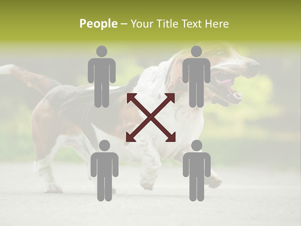 Park Leaf New PowerPoint Template