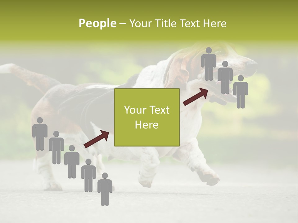 Park Leaf New PowerPoint Template