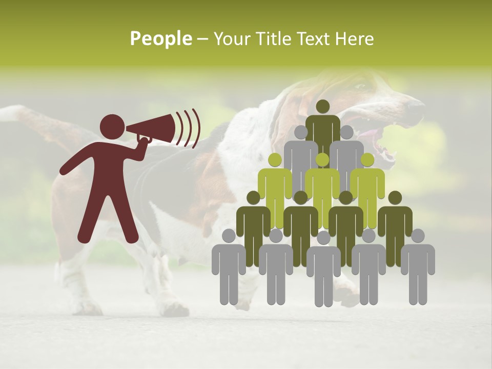 Park Leaf New PowerPoint Template