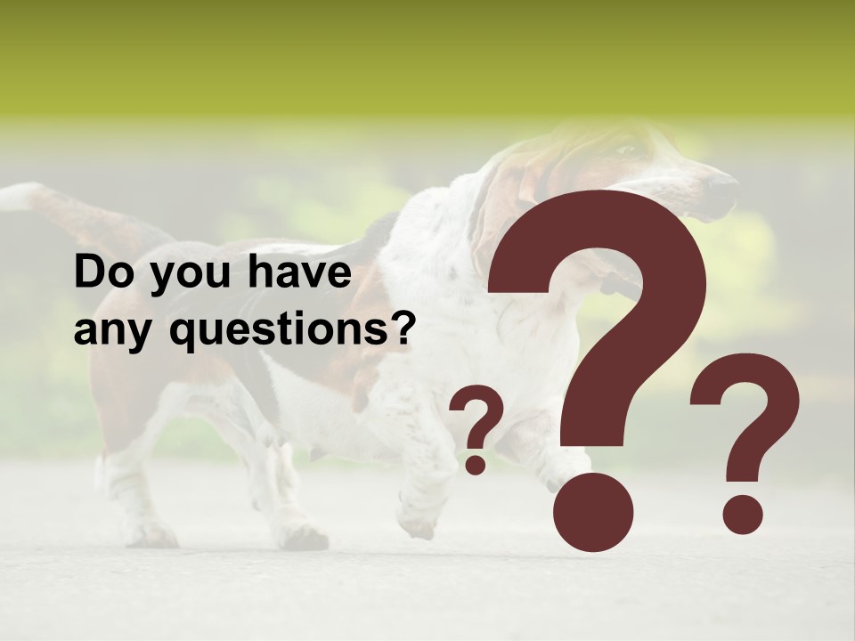 Park Leaf New PowerPoint Template