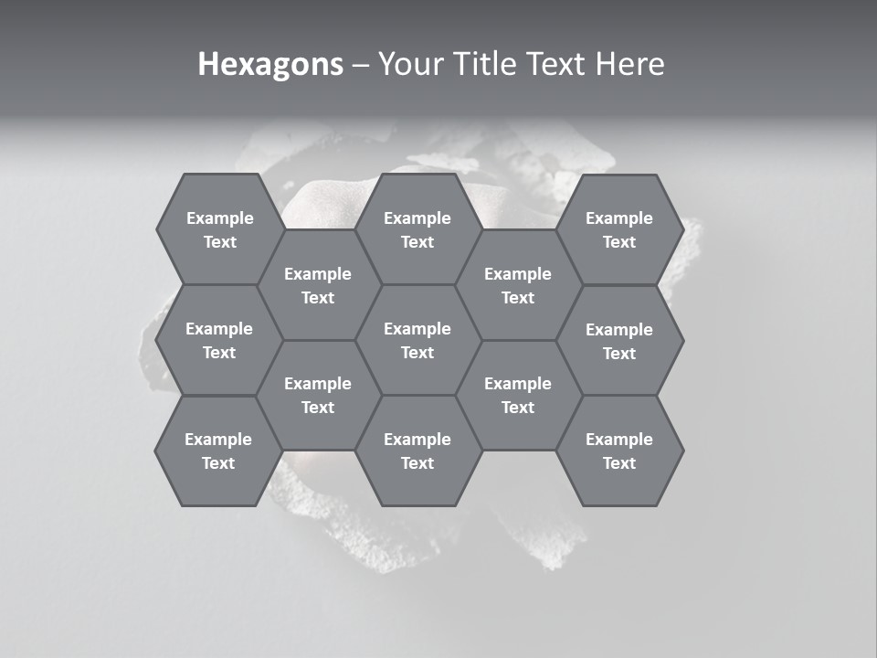 Ownership Lawn Purchase PowerPoint Template