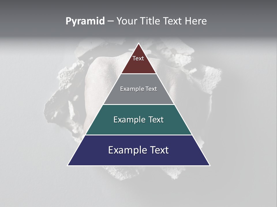 Ownership Lawn Purchase PowerPoint Template