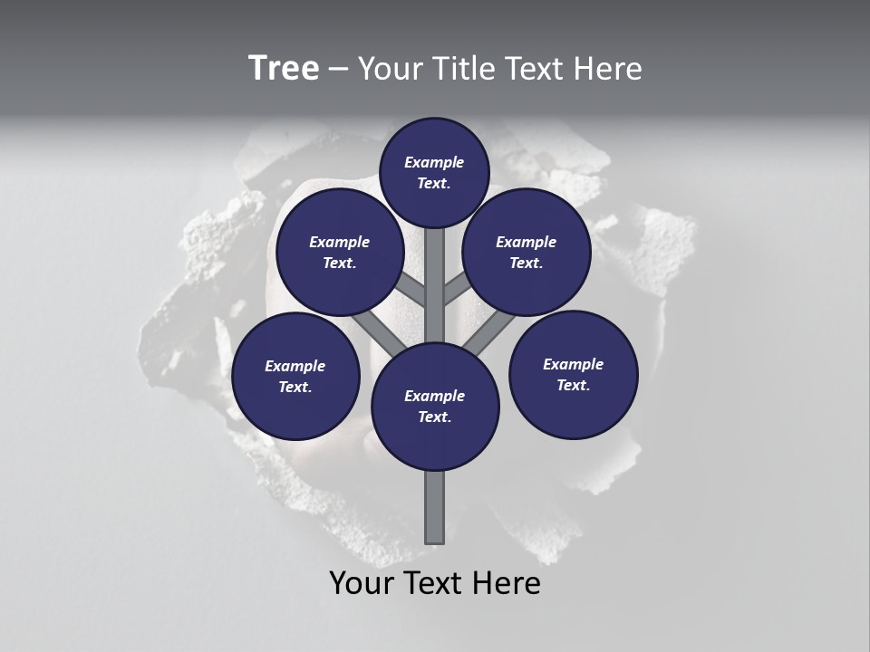 Ownership Lawn Purchase PowerPoint Template