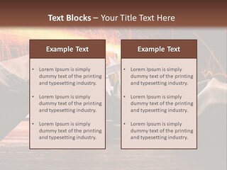 Buy Holding House PowerPoint Template