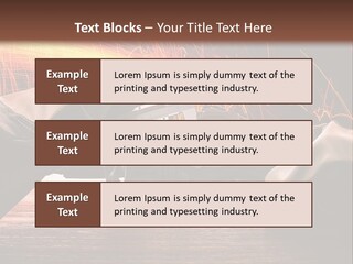 Buy Holding House PowerPoint Template