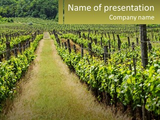 Ownership Small Garden PowerPoint Template
