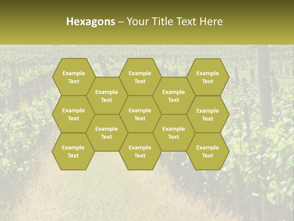 Ownership Small Garden PowerPoint Template