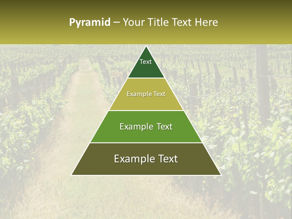 Ownership Small Garden PowerPoint Template