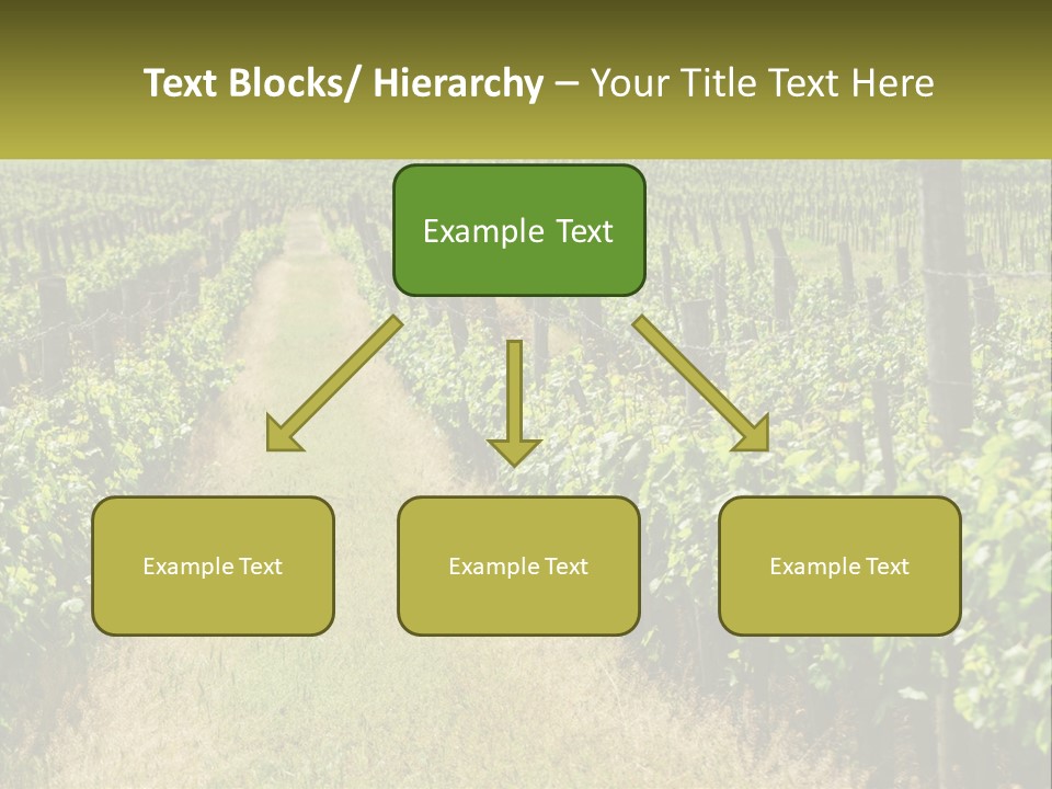 Ownership Small Garden PowerPoint Template