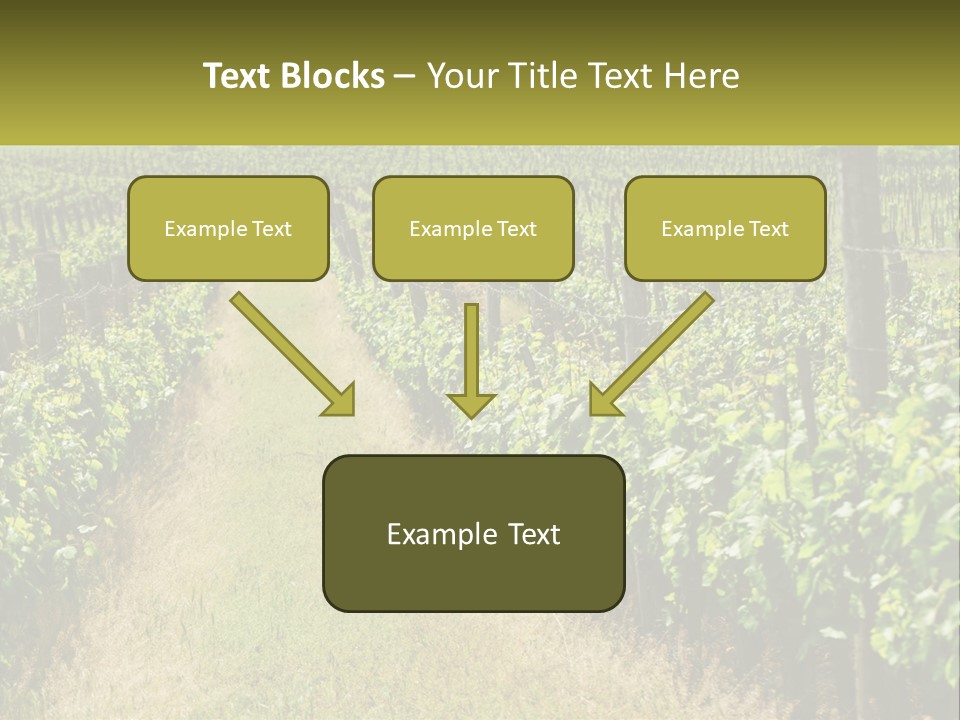 Ownership Small Garden PowerPoint Template