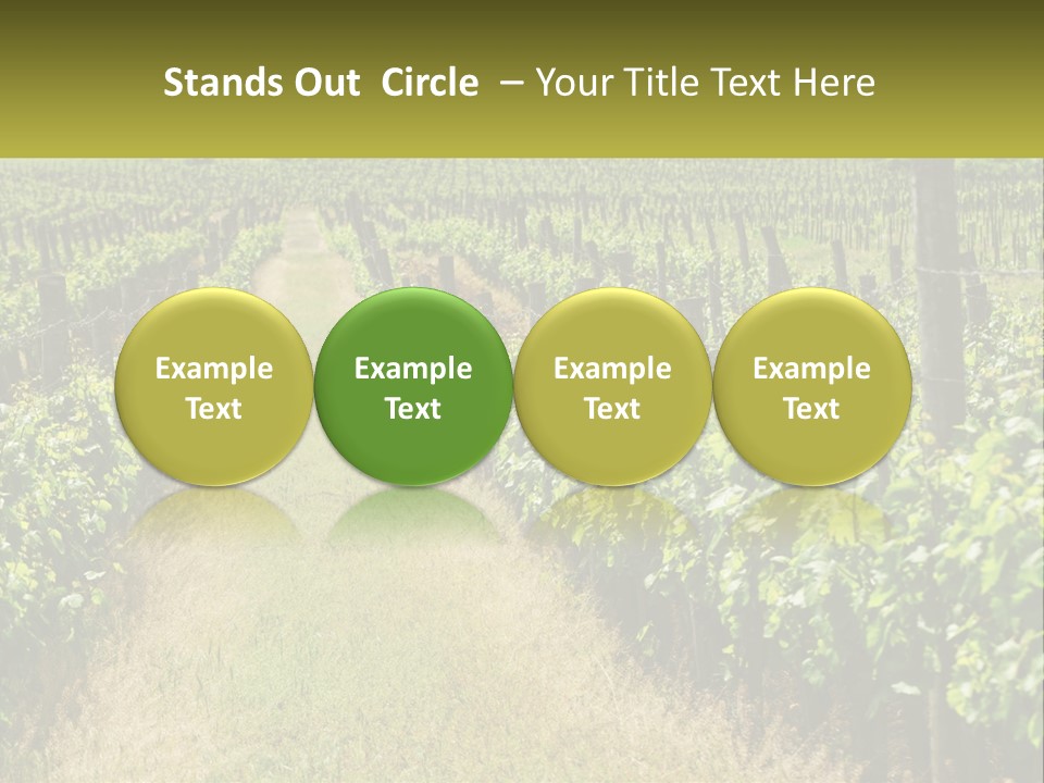 Ownership Small Garden PowerPoint Template