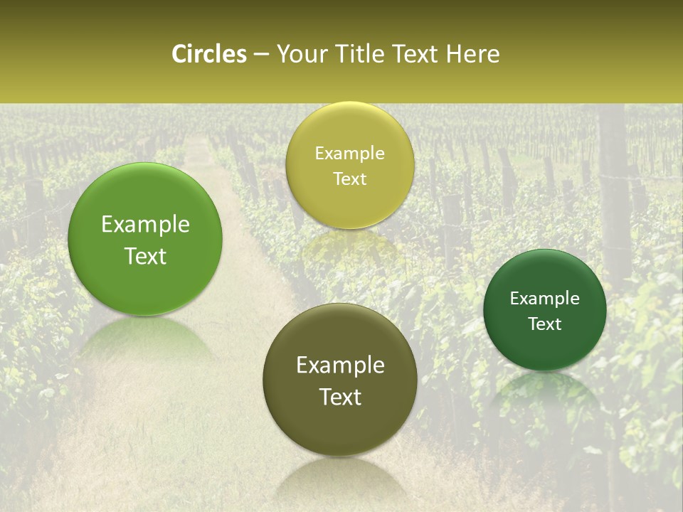 Ownership Small Garden PowerPoint Template