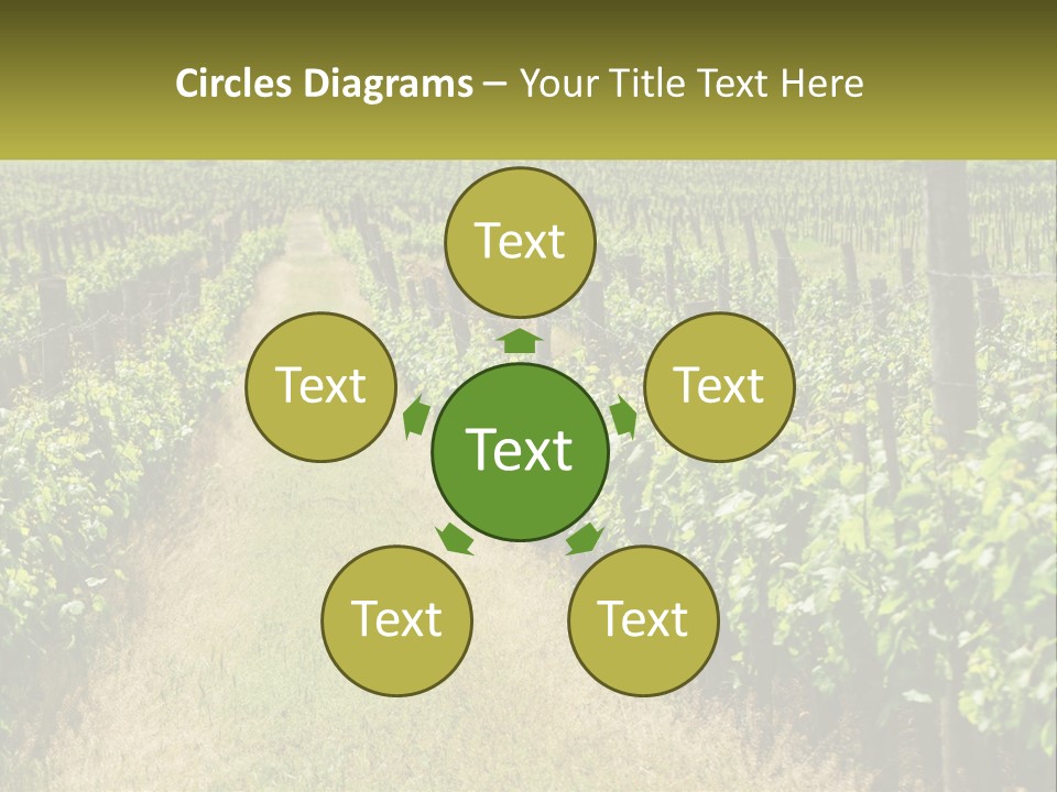 Ownership Small Garden PowerPoint Template