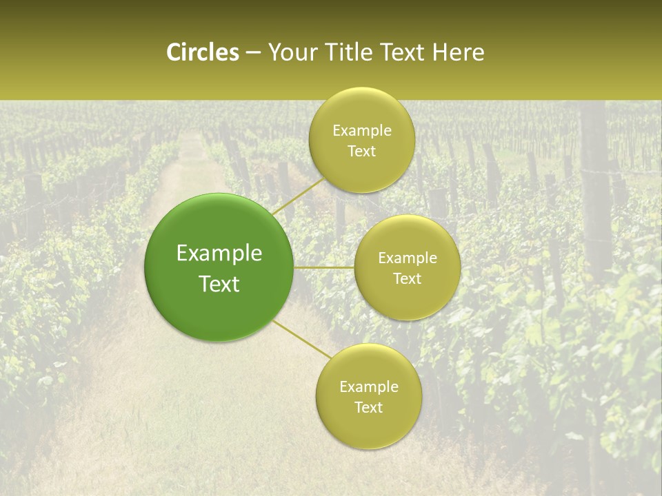 Ownership Small Garden PowerPoint Template