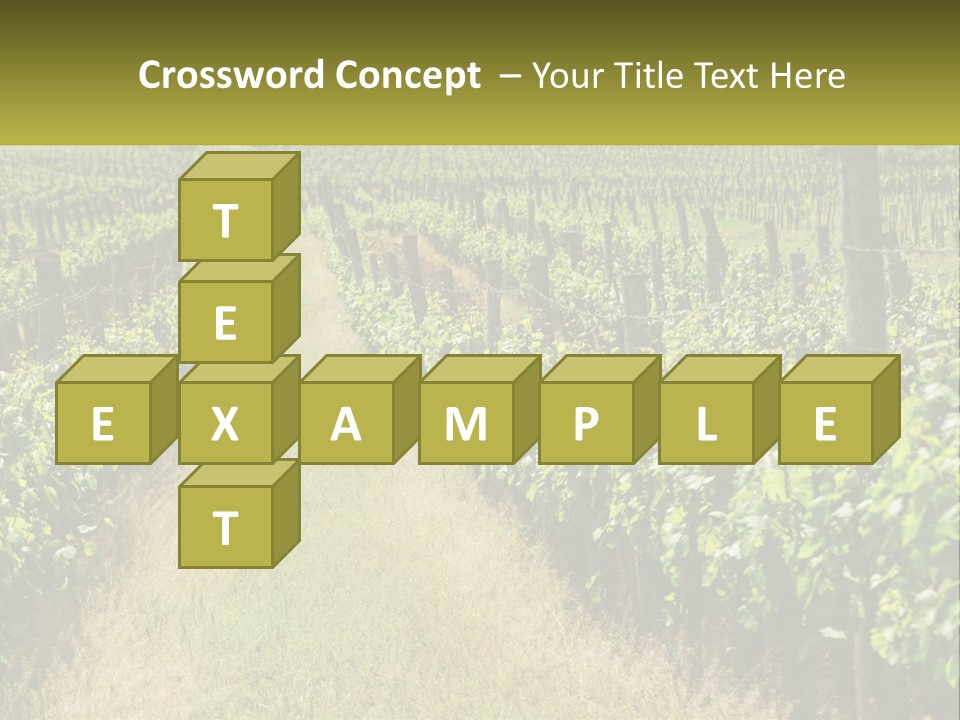 Ownership Small Garden PowerPoint Template