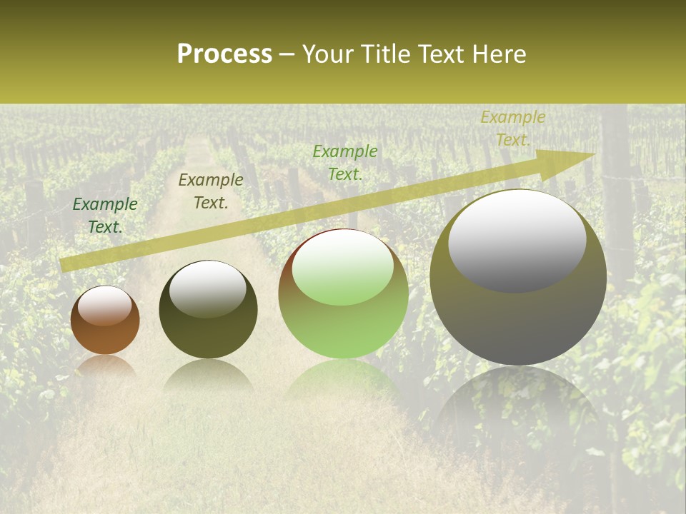 Ownership Small Garden PowerPoint Template
