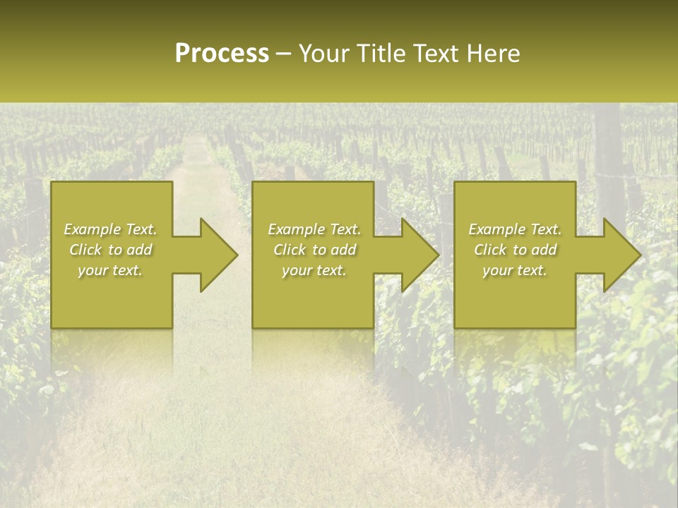 Ownership Small Garden PowerPoint Template
