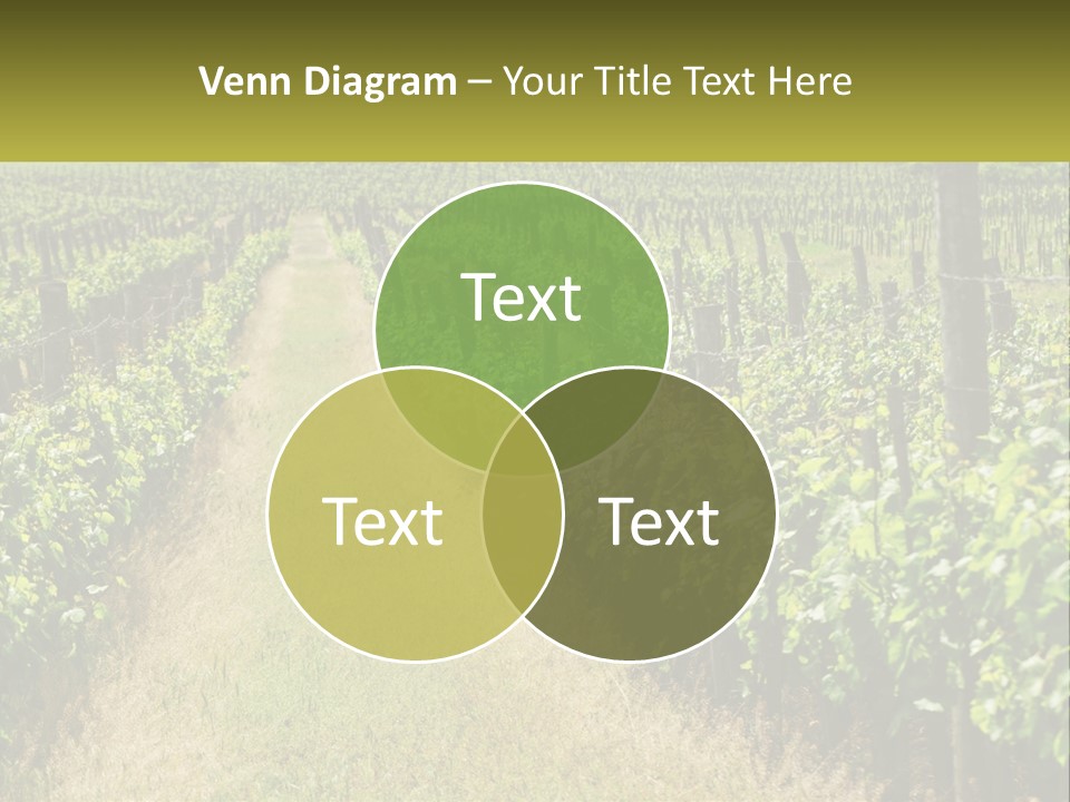 Ownership Small Garden PowerPoint Template