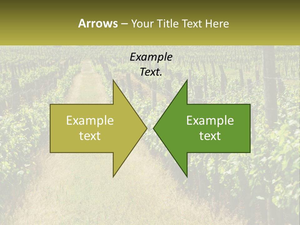 Ownership Small Garden PowerPoint Template