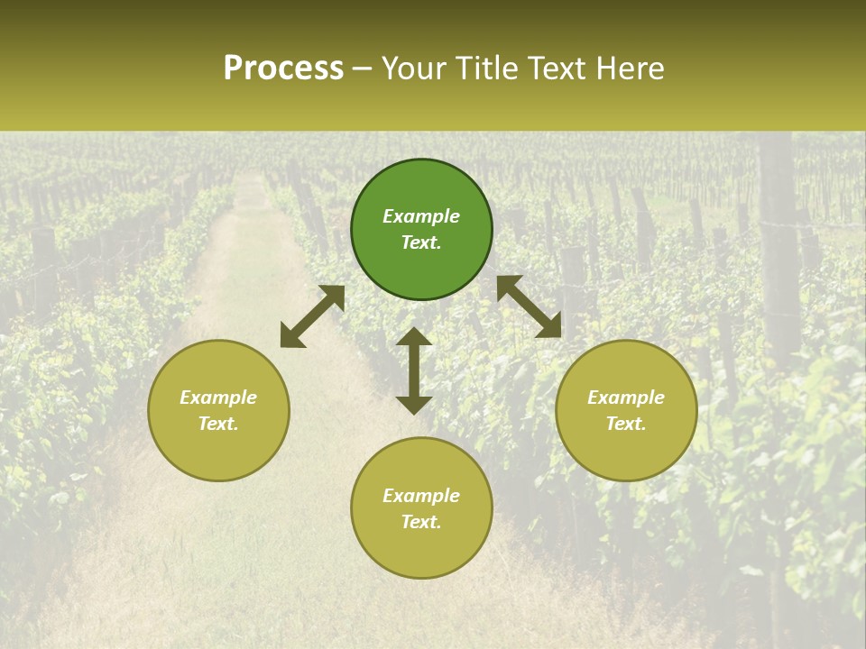 Ownership Small Garden PowerPoint Template