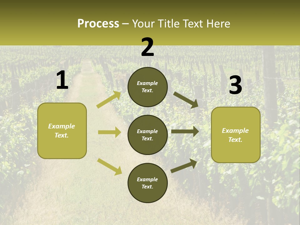 Ownership Small Garden PowerPoint Template