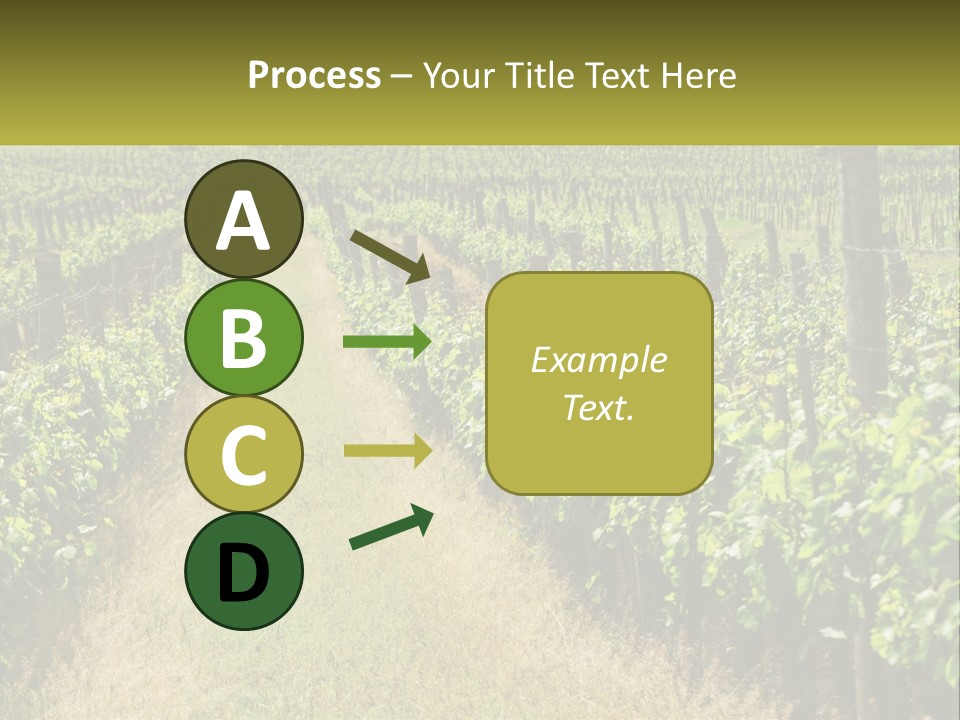 Ownership Small Garden PowerPoint Template