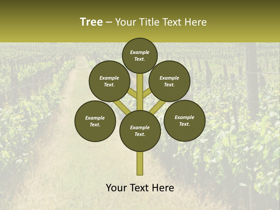 Ownership Small Garden PowerPoint Template