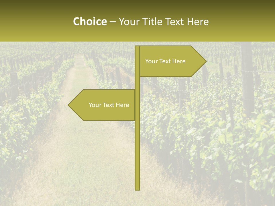 Ownership Small Garden PowerPoint Template