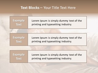 Green Model Loan PowerPoint Template