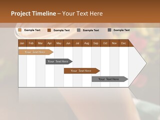 Architecture Small Conceptual PowerPoint Template