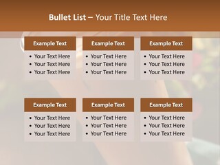 Architecture Small Conceptual PowerPoint Template