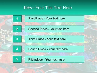 Sale Home Investment PowerPoint Template