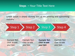 Sale Home Investment PowerPoint Template