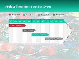 Sale Home Investment PowerPoint Template