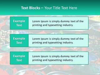 Sale Home Investment PowerPoint Template
