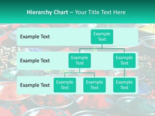 Sale Home Investment PowerPoint Template
