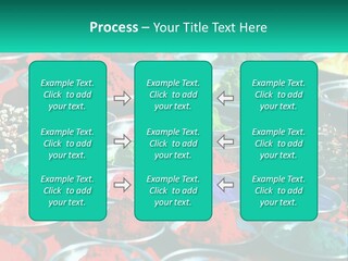 Sale Home Investment PowerPoint Template