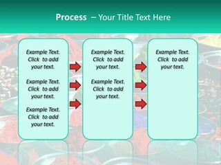 Sale Home Investment PowerPoint Template