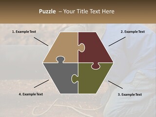 Lawn Estate Buy PowerPoint Template