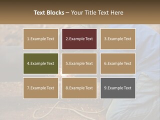 Lawn Estate Buy PowerPoint Template