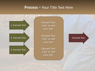 Lawn Estate Buy PowerPoint Template