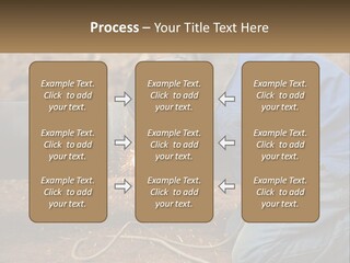 Lawn Estate Buy PowerPoint Template