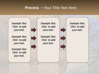 Lawn Estate Buy PowerPoint Template