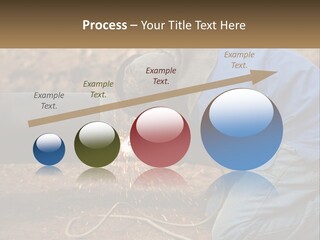 Lawn Estate Buy PowerPoint Template