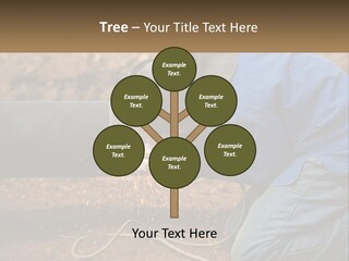 Lawn Estate Buy PowerPoint Template