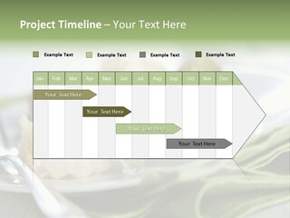 Business Architect Residential PowerPoint Template