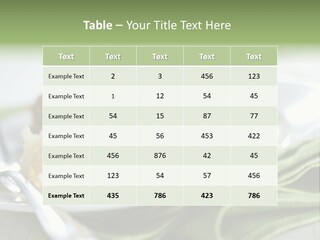 Business Architect Residential PowerPoint Template