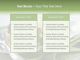 Business Architect Residential PowerPoint Template