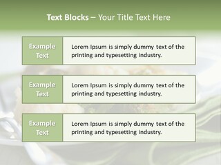 Business Architect Residential PowerPoint Template